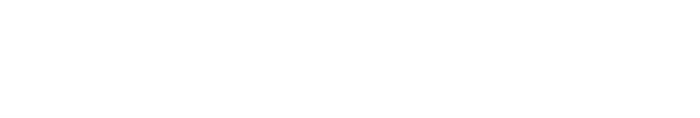 ローカル・エイド
